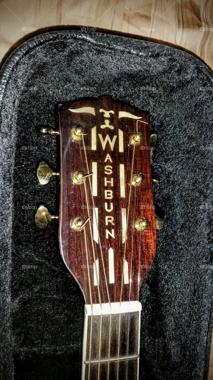 washburn acoustic guitar headstock