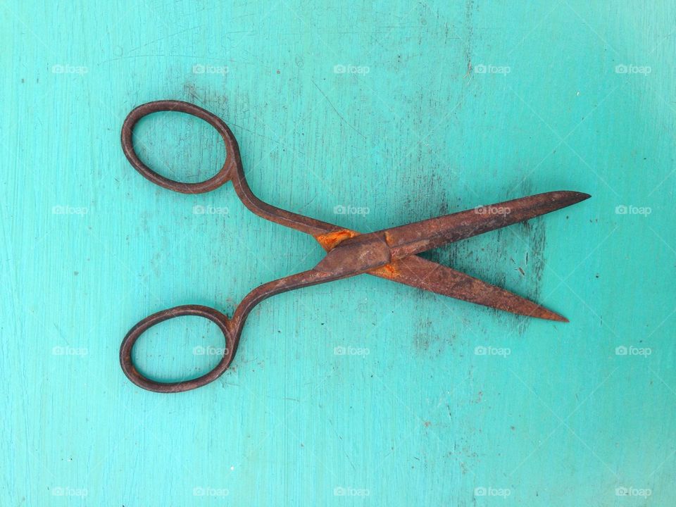 Scissors. Scissors on a coloured background 