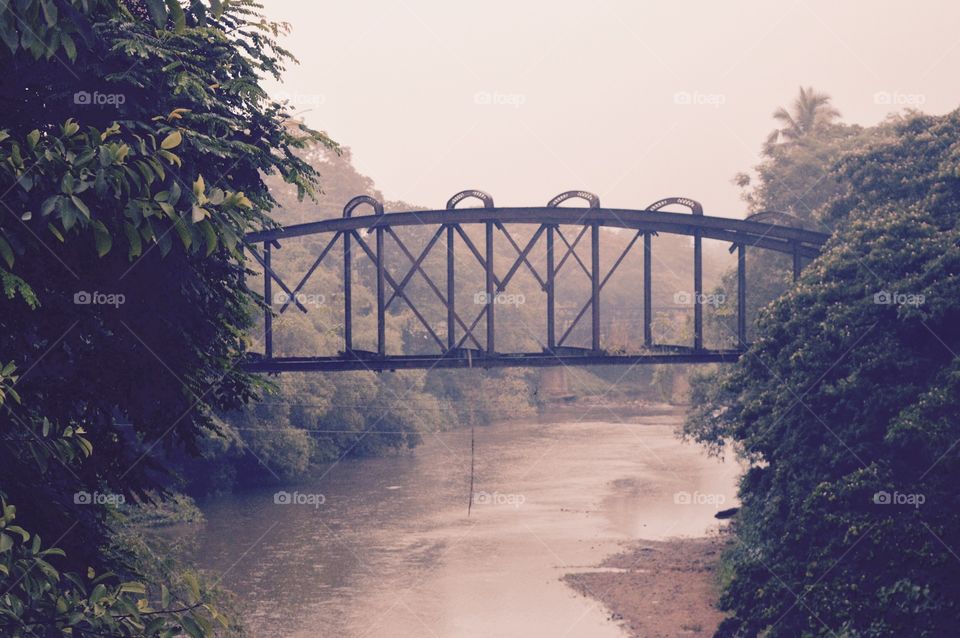 No Person, Water, Bridge, Tree, River