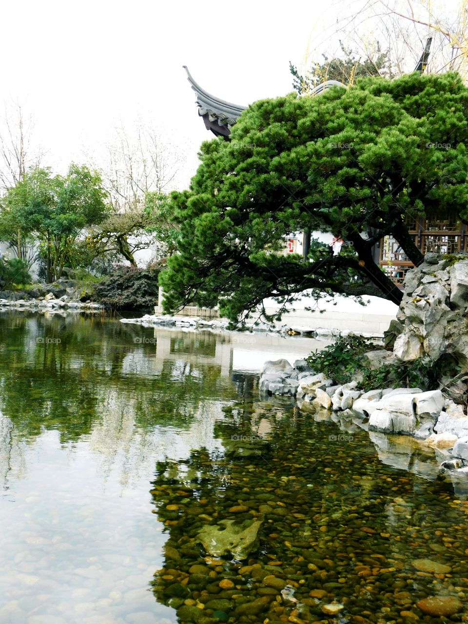 Chinese Garden landscape