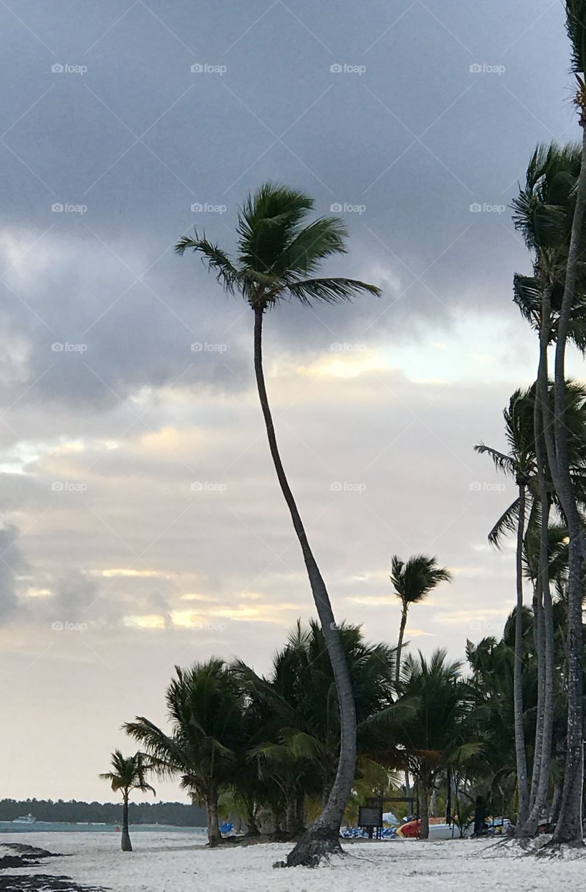 Swayin to the Beat #3