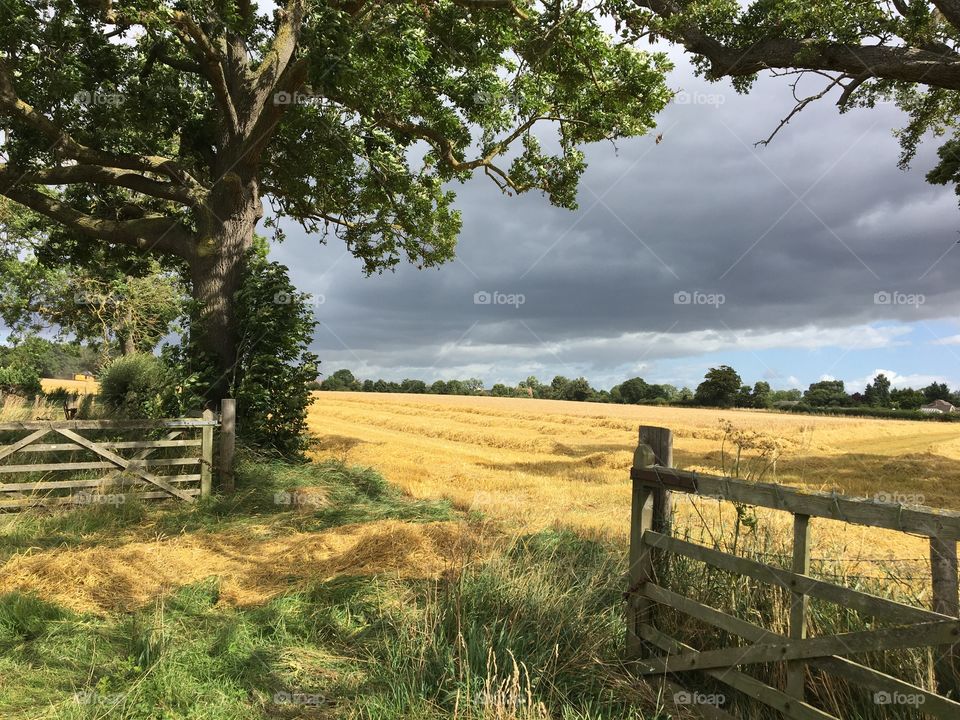 English Countryside … Ominous rain clouds above but the sun manages to shine through 