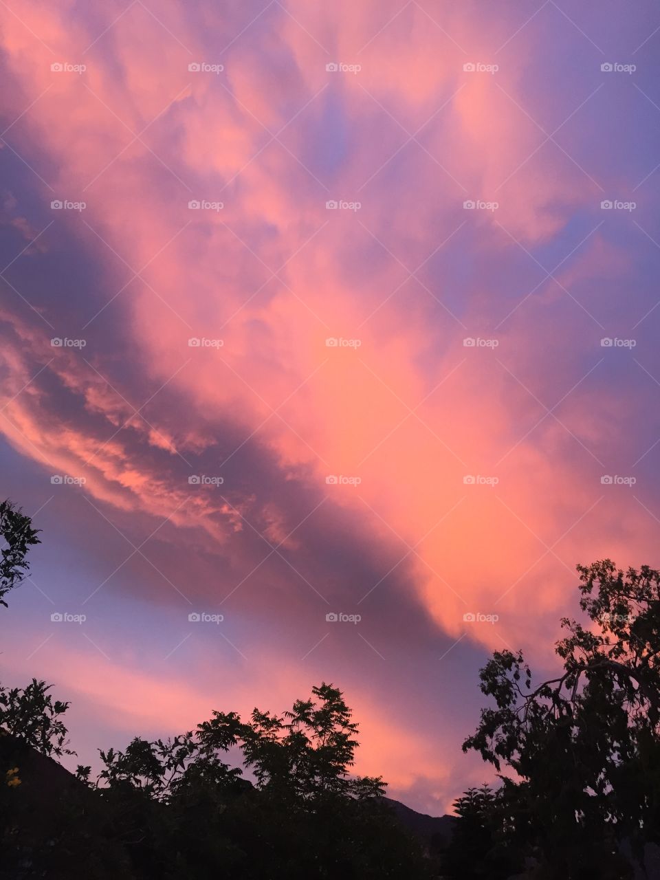Beautiful pink sunset 