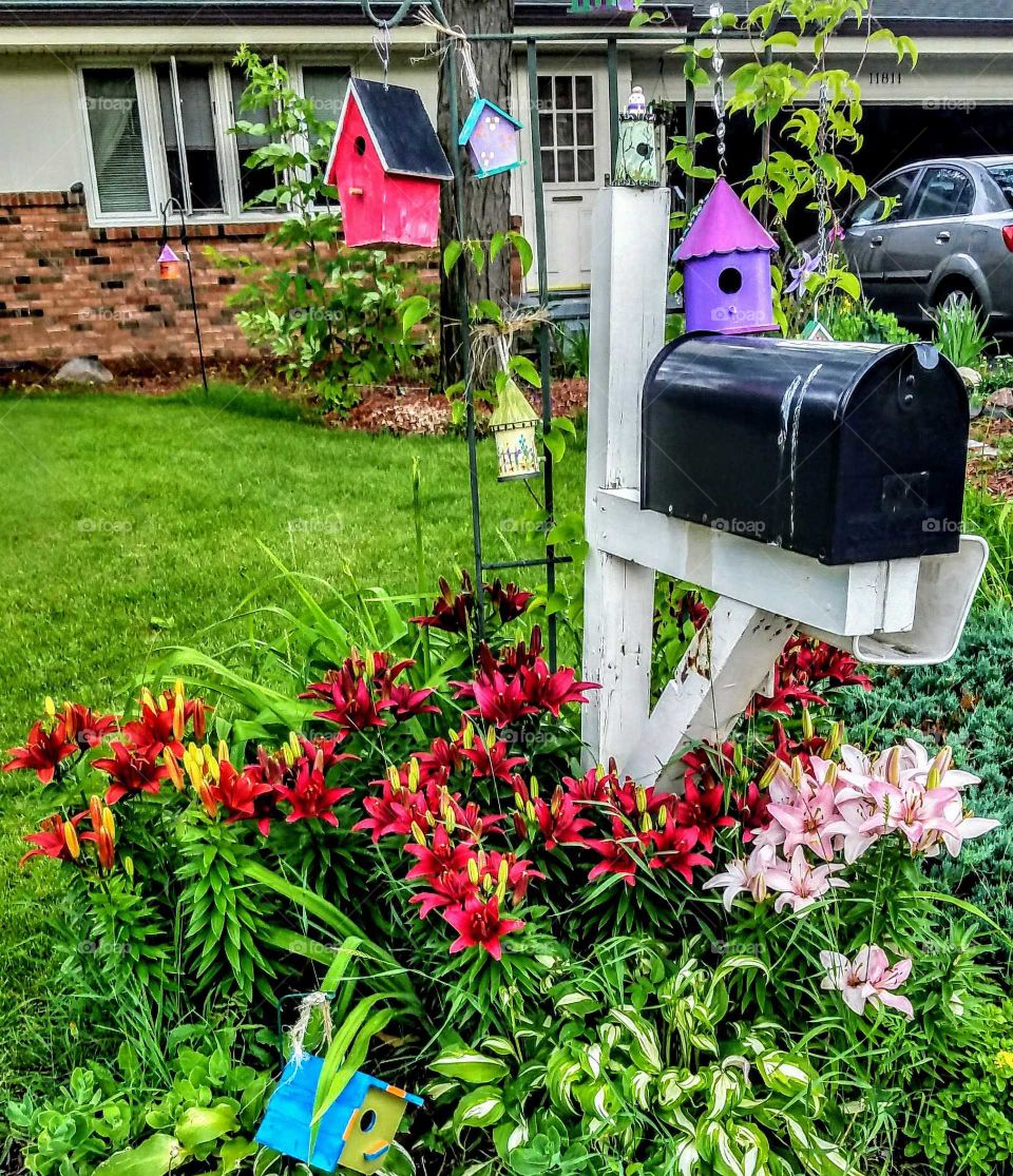 Summer Flowers Birdhouses Mailbox