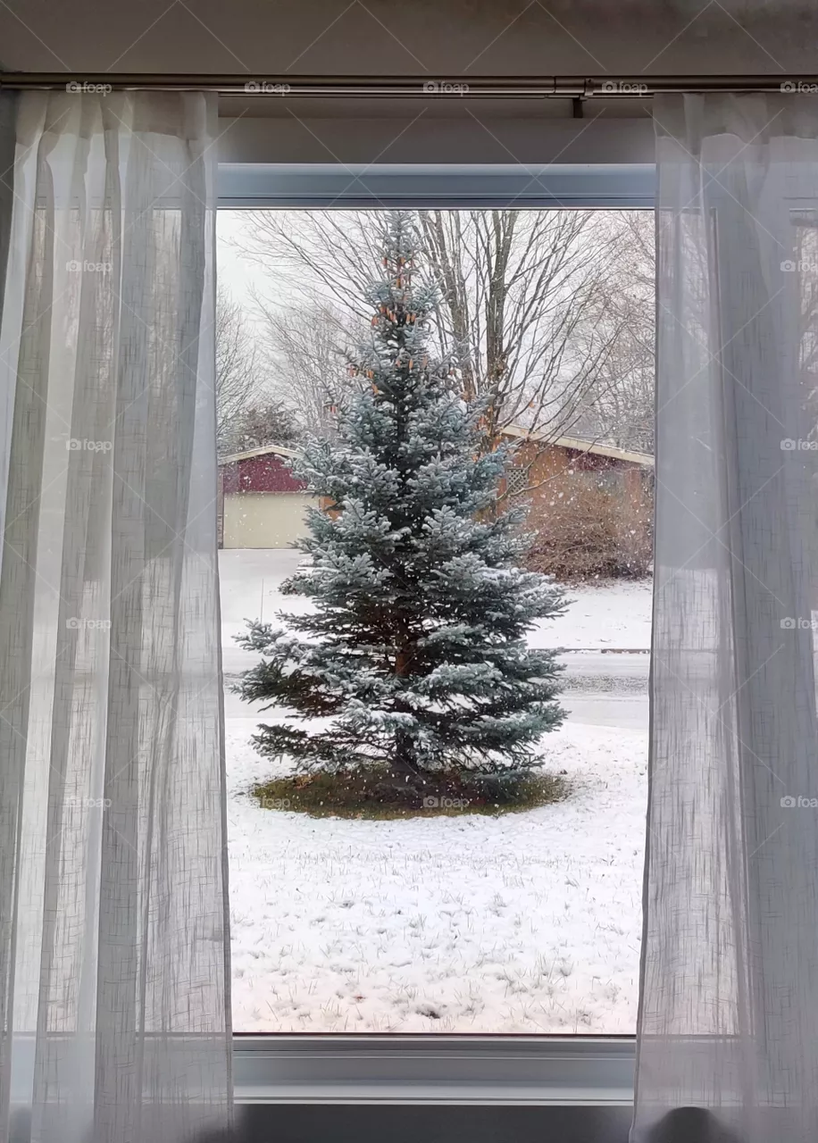 window with a winter view, snow and a pin