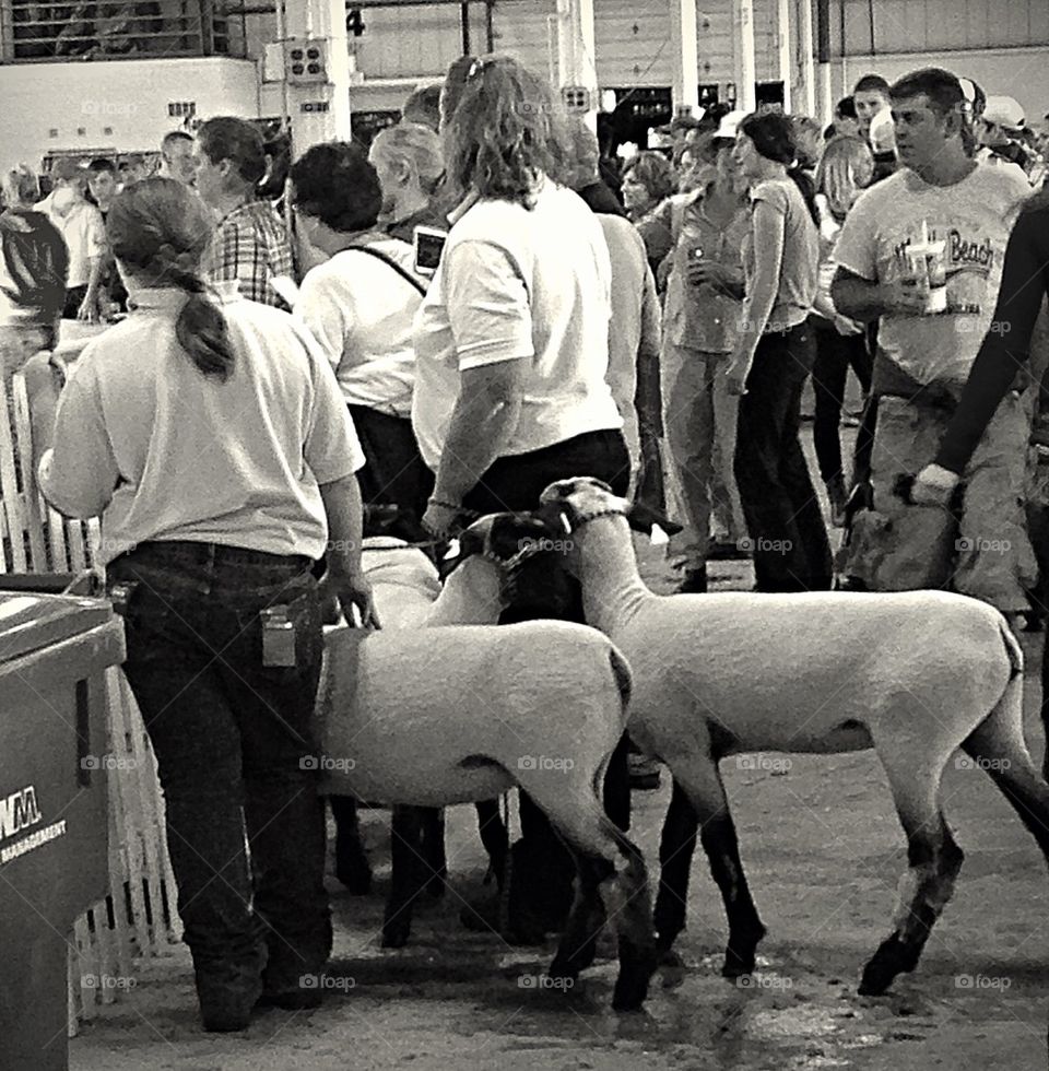 Waiting their turn