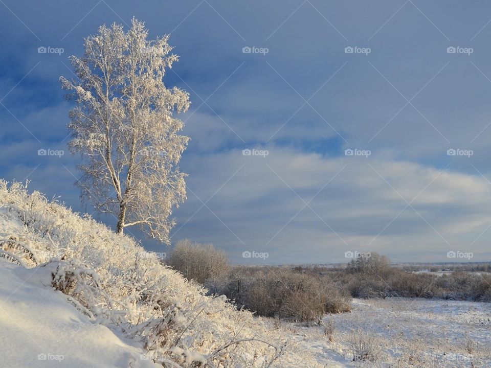 Красоты Кузбасса