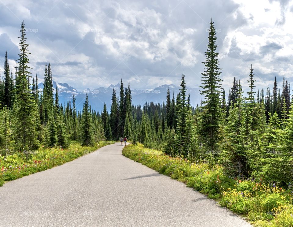 Couple walking on road through the trees and mountains 