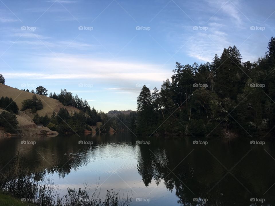 Lake, Water, No Person, Landscape, Tree