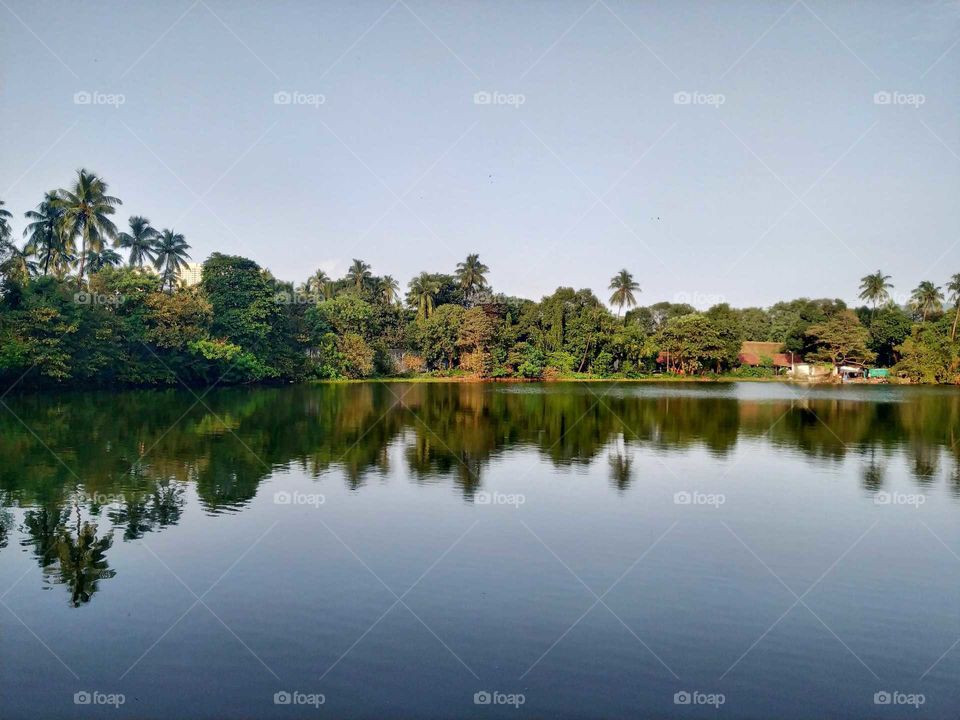 A calm lake in suburbs of Mumbai. India 2019