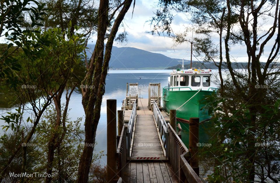 A jetty for a boat cruise on a beautiful Lake Rotomahana