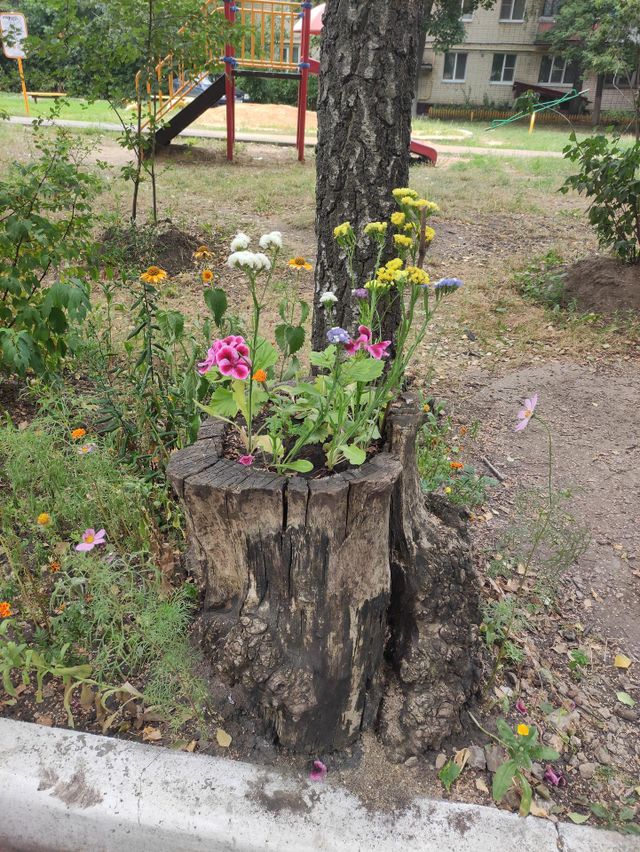 Flower Stump (цветочный пень)