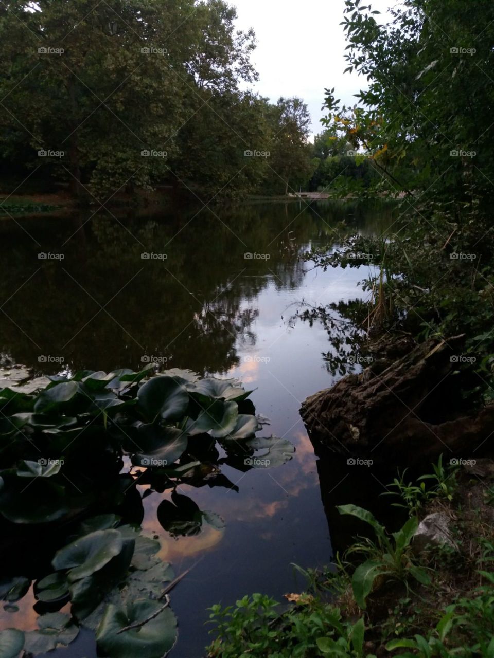 The beauty of nature