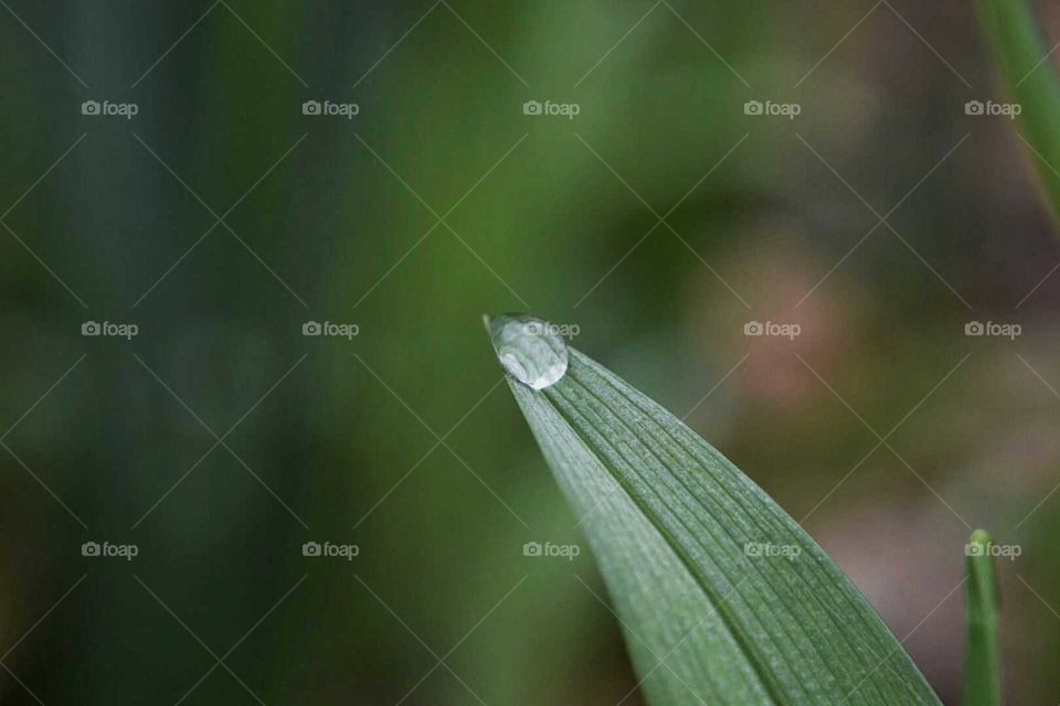 Droplet