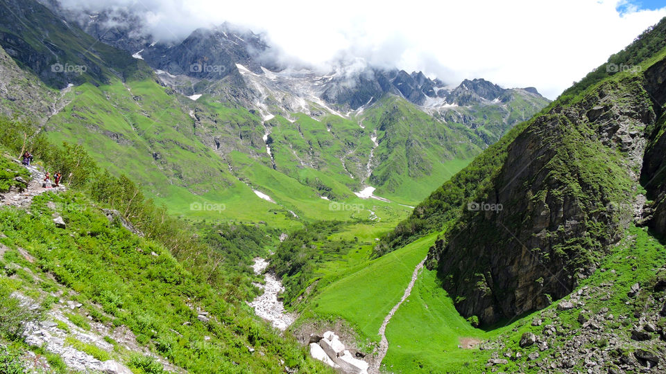 Valley of Flowers