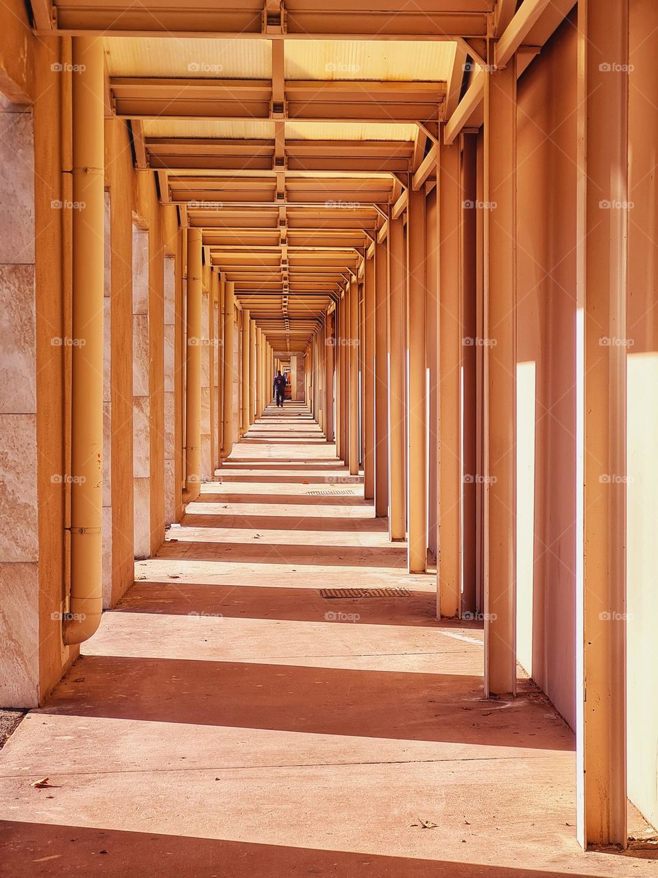 perspective of a colonnade between lights and shadows