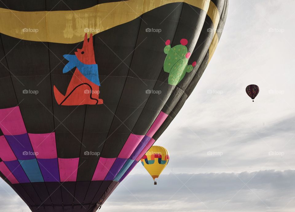 A hot air balloon festival in the winter creates a colorful scene. Layers of balloons in the air.