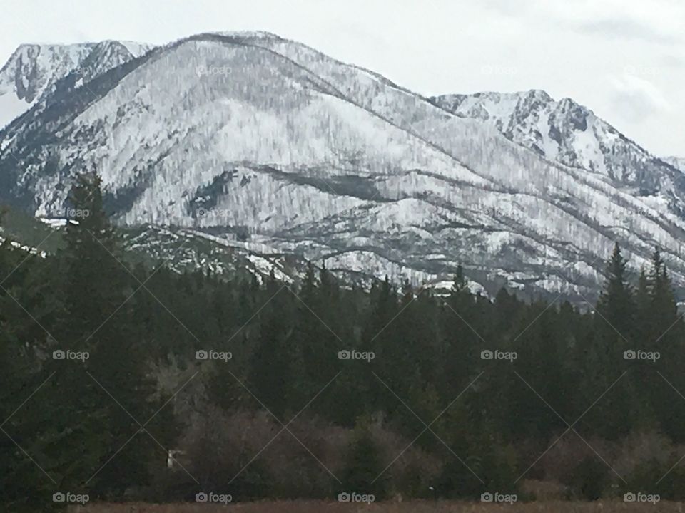 Springtime in MT