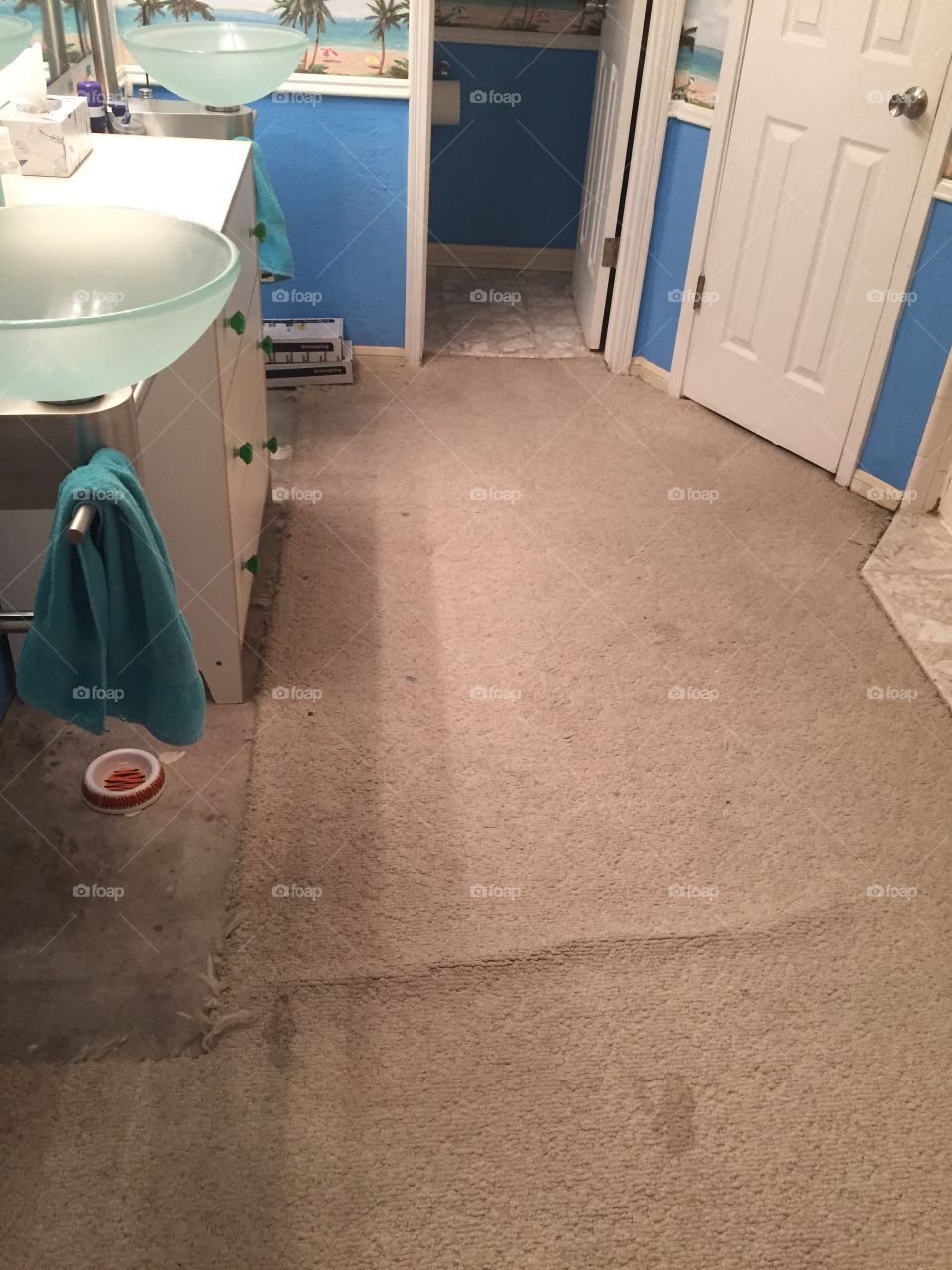 Master Bathroom Makeover — Before 