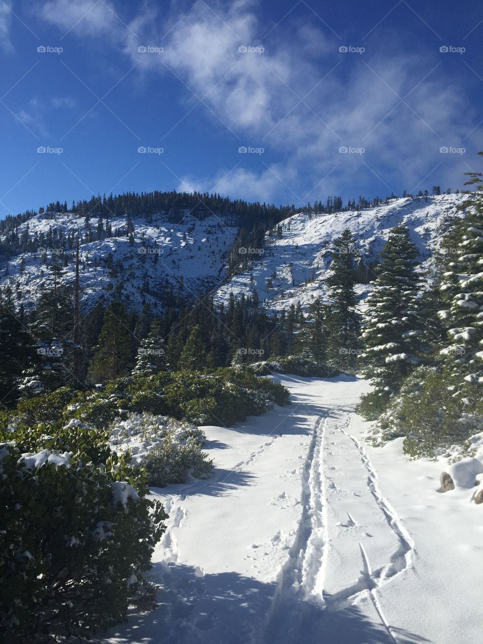 Ski tracks 