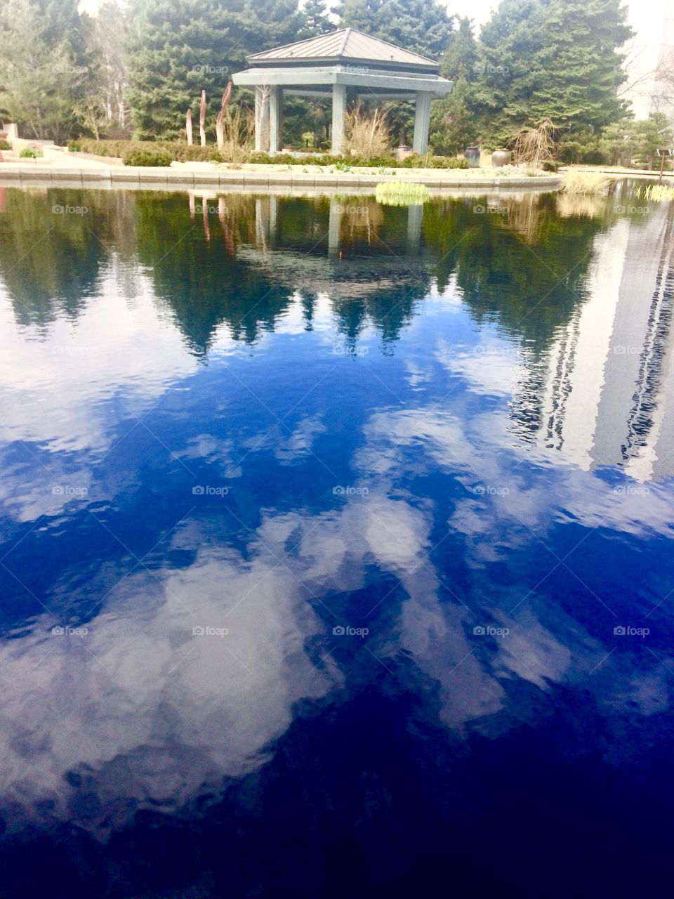 Pond of reflections 