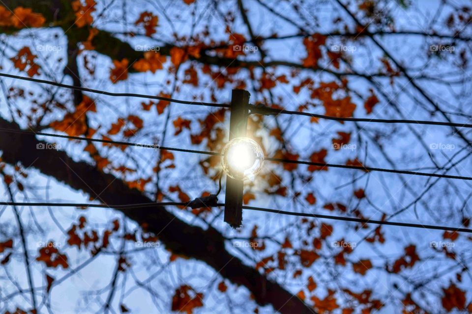 hanging yard light retro