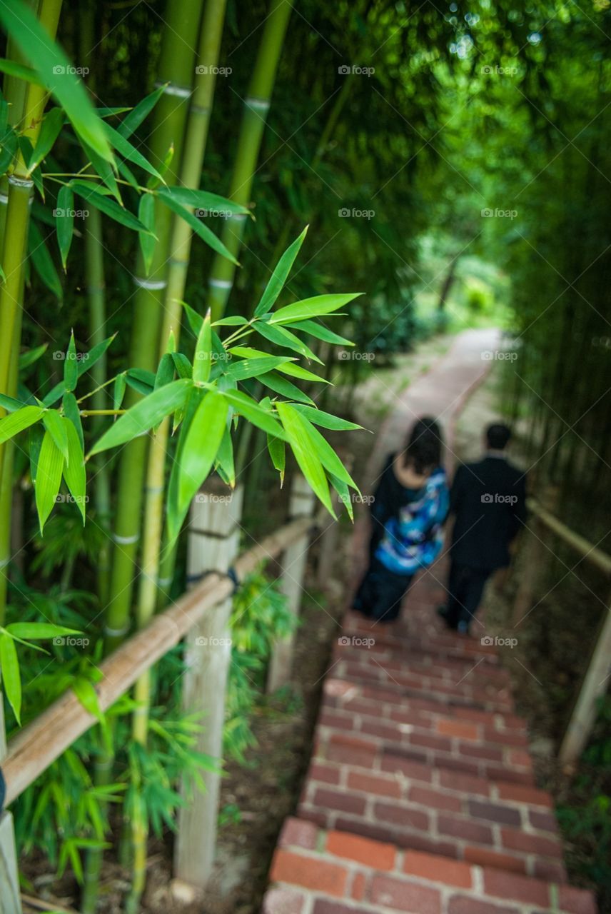 Couple walking through garden