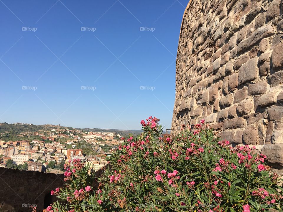 Views from Cardona castle 