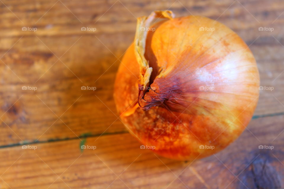 Onion