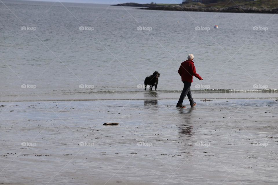 Man and a dog on the beach 