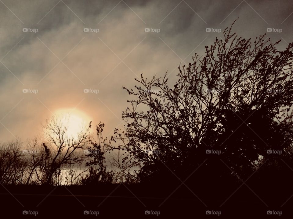 Sun rising over a lake in Florida with silhouette of trees