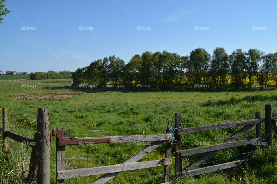 Springtime in Skåne
