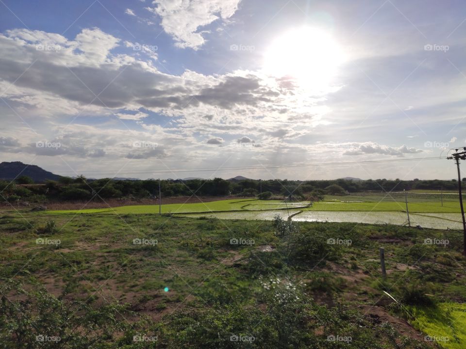 mid summer August, Glorious Flaming Sun in the cloudy blue sky.