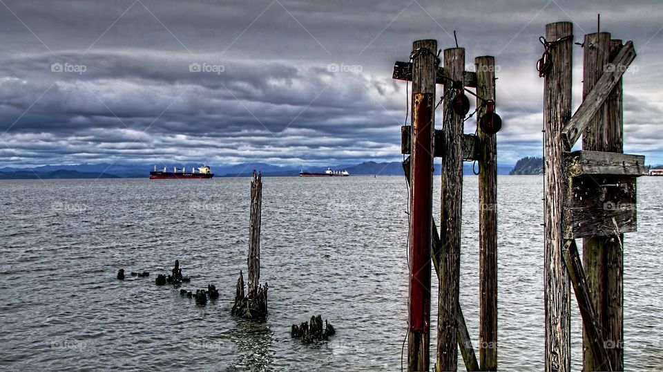 River Pilings