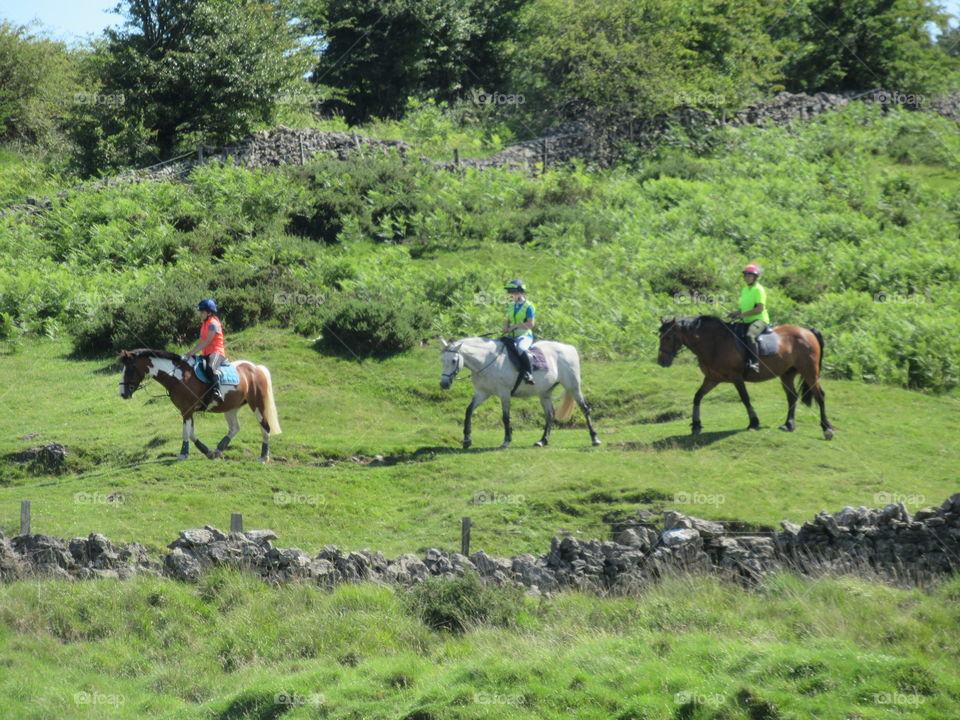 Horses and people treking through the English countryside