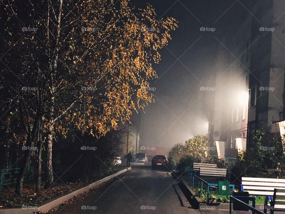 Foggy fall night