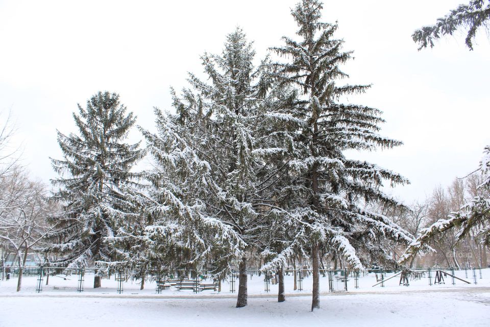 ❄🤍 Winter season 🤍❄