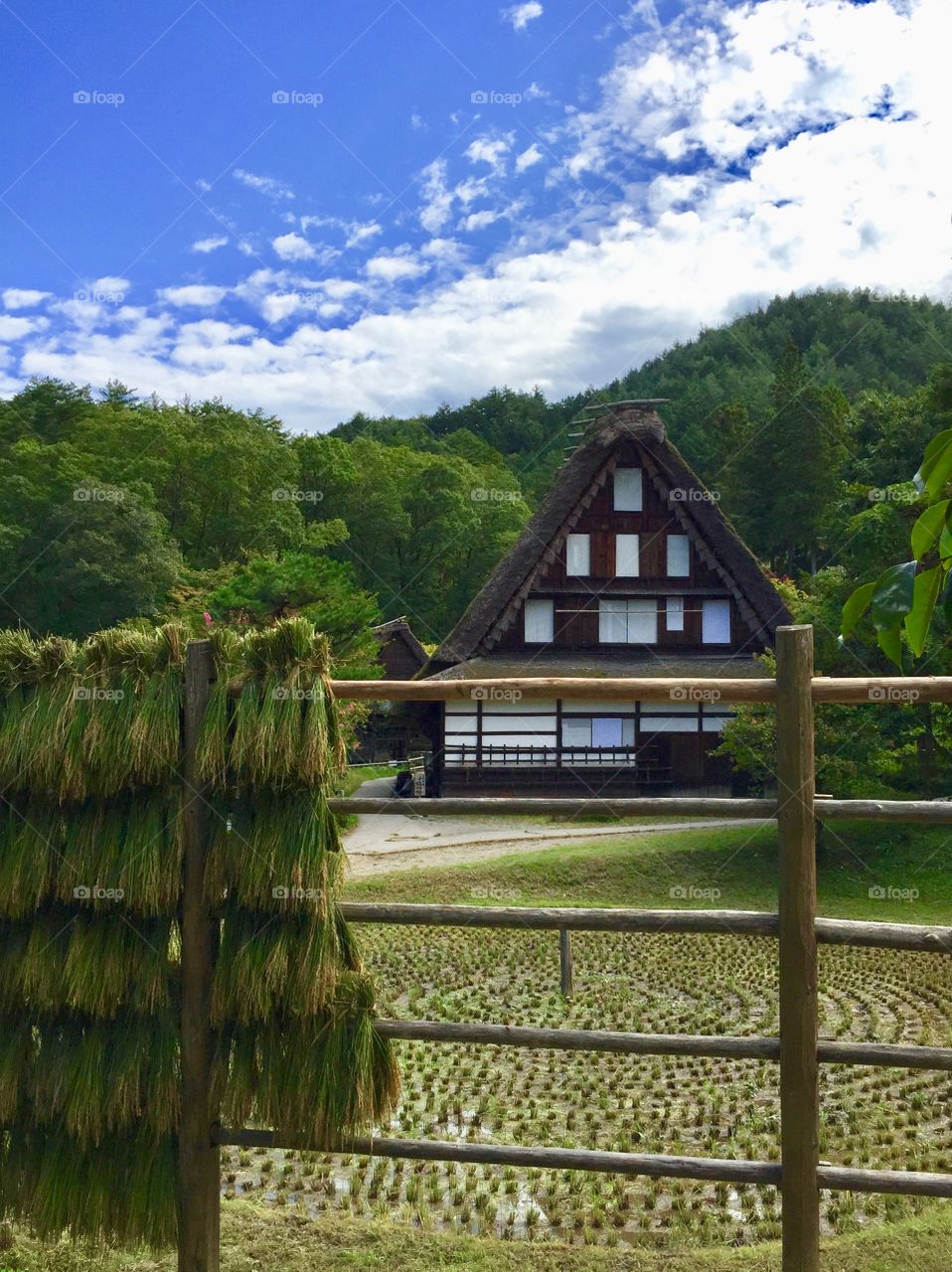 old Japanese  country house