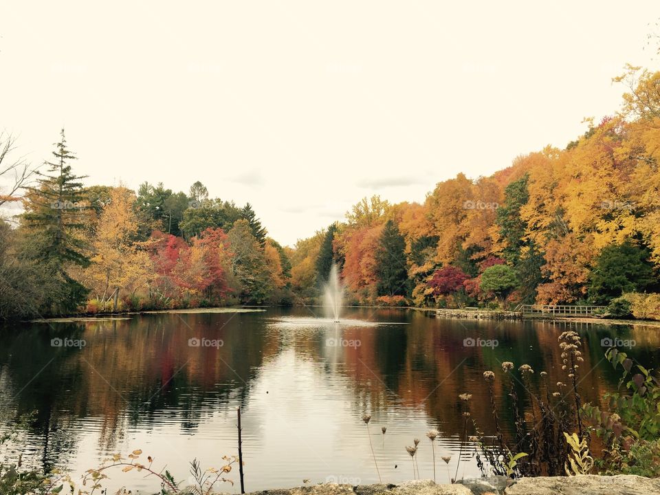 Fall Foliage, Norwalk, CT