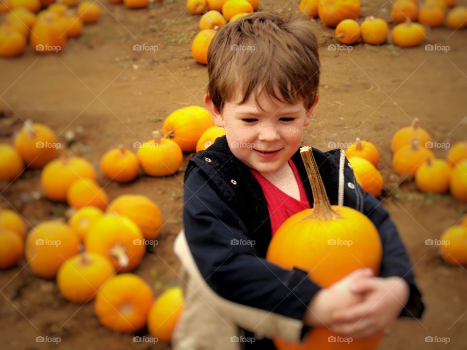 Cute boy holding pumpkin in hand