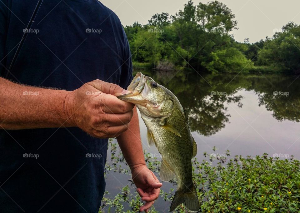 A man pond fishing in Texas for large month bass