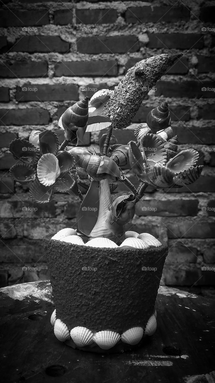 A craft from shells and snails