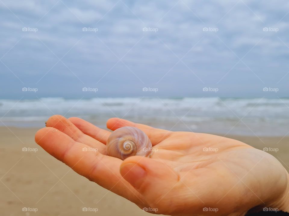 shell snail on the hand and in the background the winter sea