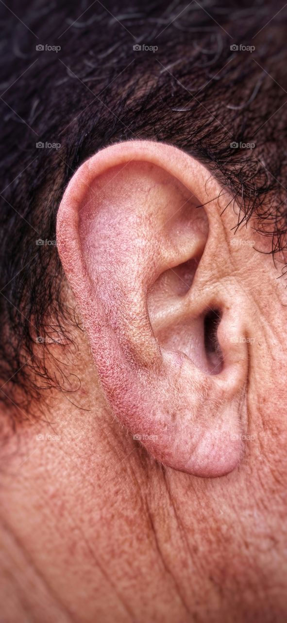 Ear