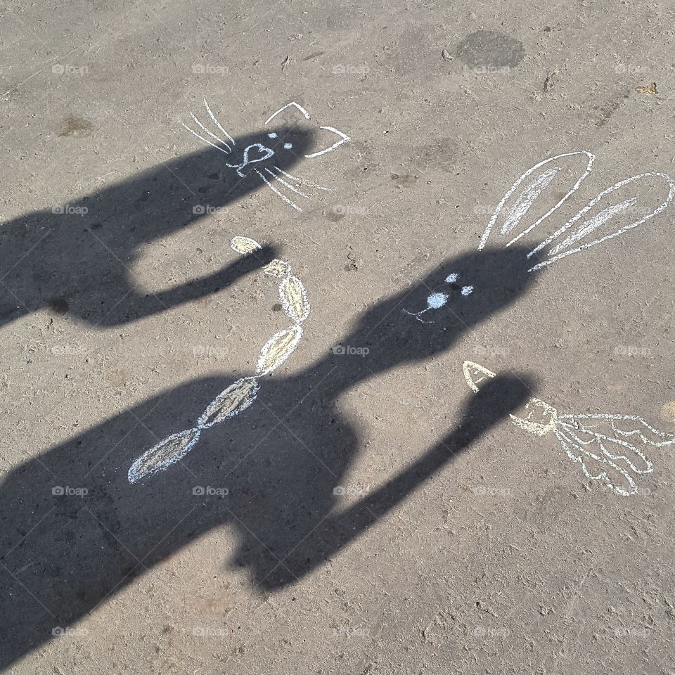 shine and shadow . cat and rabbit . тени исчезают в полдень