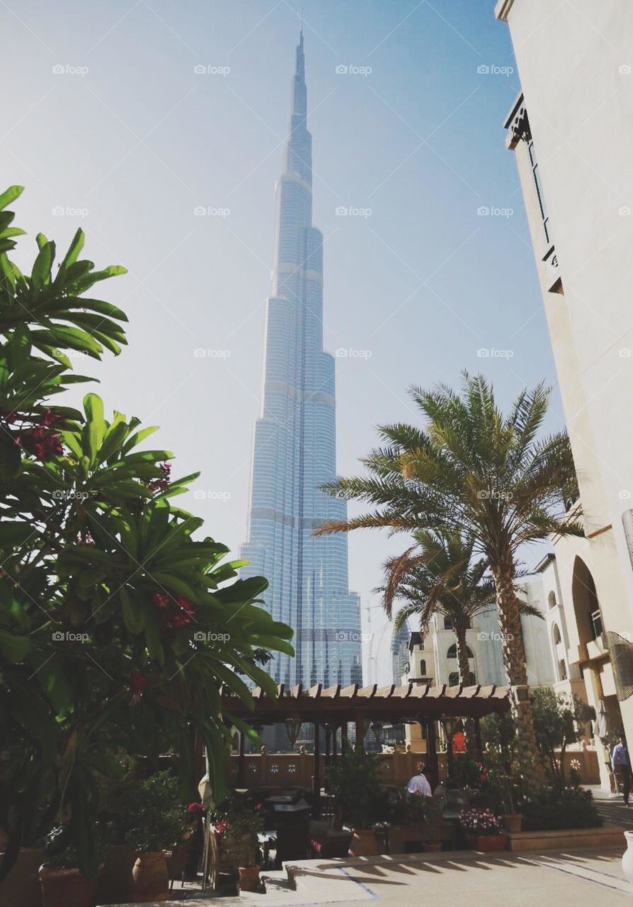 view of Dubai tower from urban garden 