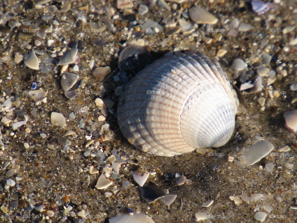 on the beach