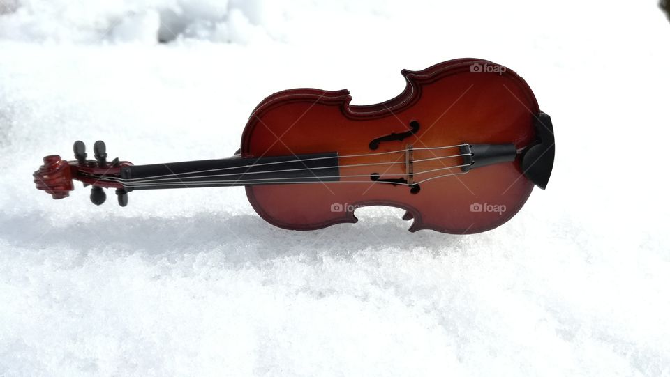 #violin#stringed#instruments#noperson