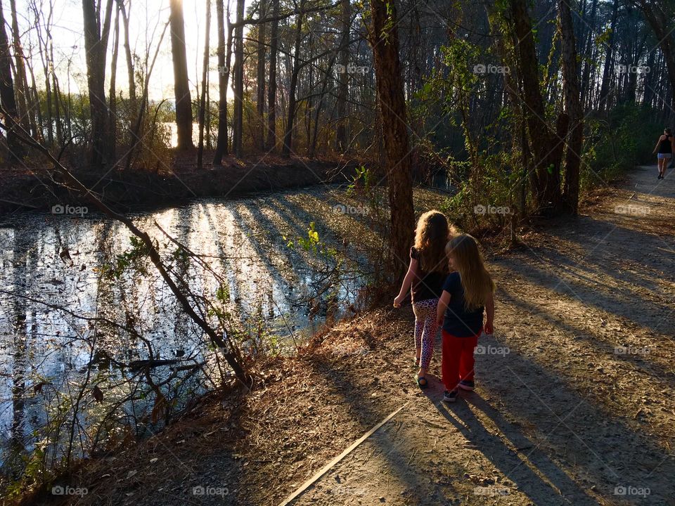 Stroll by the marsh 