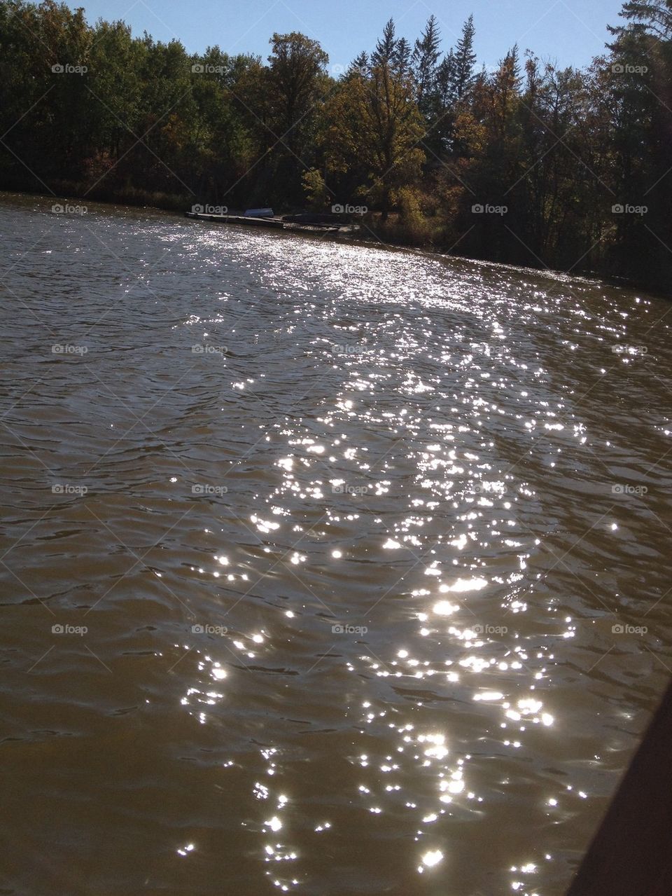 Sunny water